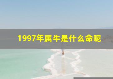 1997年属牛是什么命呢