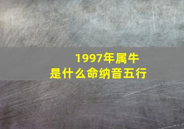 1997年属牛是什么命纳音五行