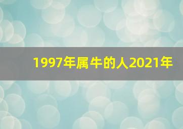 1997年属牛的人2021年