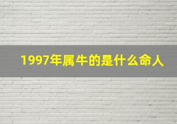 1997年属牛的是什么命人