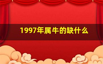 1997年属牛的缺什么