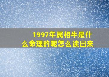 1997年属相牛是什么命理的呢怎么读出来