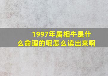 1997年属相牛是什么命理的呢怎么读出来啊