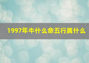 1997年牛什么命五行属什么