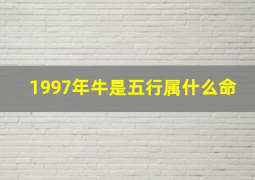 1997年牛是五行属什么命