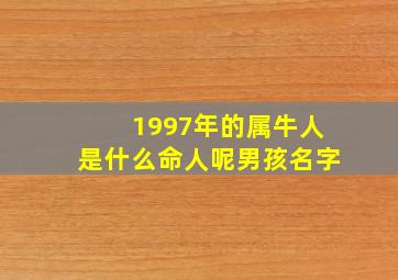 1997年的属牛人是什么命人呢男孩名字