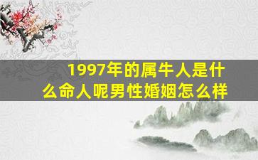 1997年的属牛人是什么命人呢男性婚姻怎么样