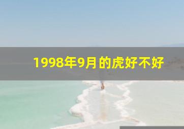 1998年9月的虎好不好