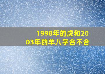 1998年的虎和2003年的羊八字合不合