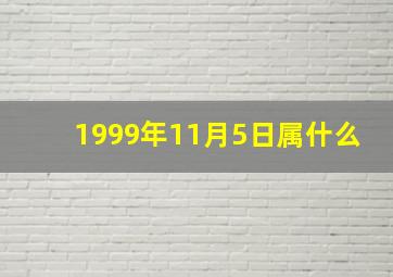 1999年11月5日属什么