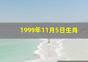 1999年11月5日生肖