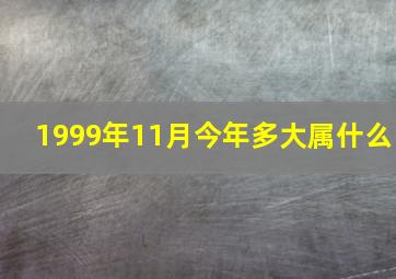 1999年11月今年多大属什么