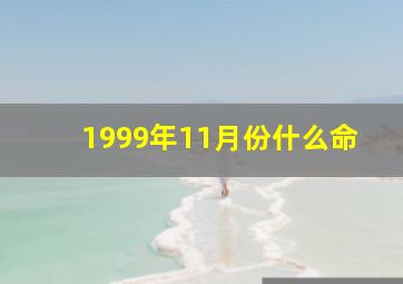 1999年11月份什么命