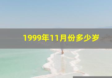 1999年11月份多少岁