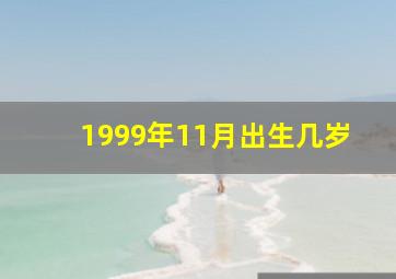 1999年11月出生几岁