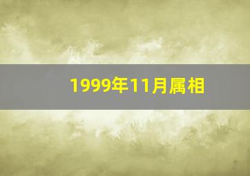 1999年11月属相