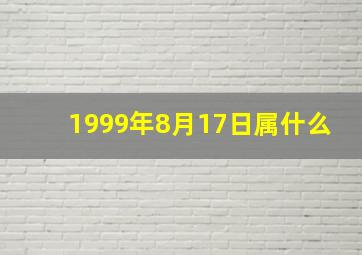 1999年8月17日属什么