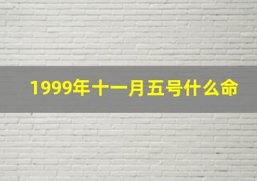 1999年十一月五号什么命