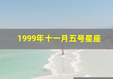 1999年十一月五号星座