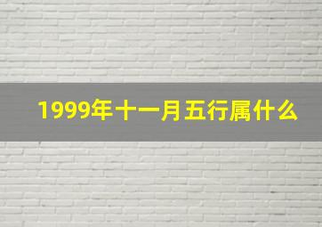 1999年十一月五行属什么