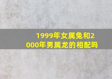 1999年女属兔和2000年男属龙的相配吗