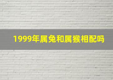 1999年属兔和属猴相配吗