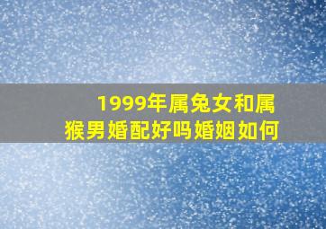 1999年属兔女和属猴男婚配好吗婚姻如何