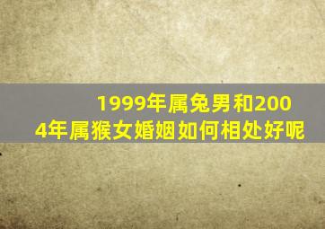 1999年属兔男和2004年属猴女婚姻如何相处好呢