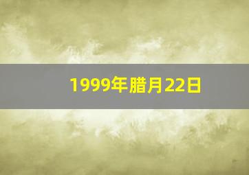 1999年腊月22日