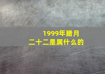 1999年腊月二十二是属什么的