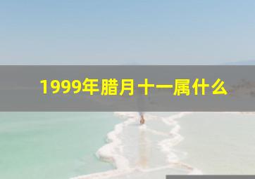 1999年腊月十一属什么