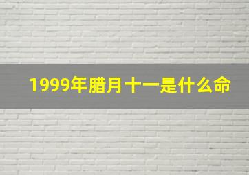 1999年腊月十一是什么命