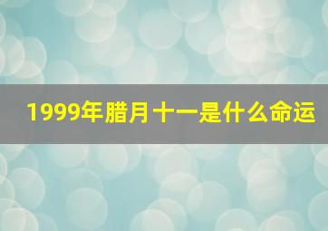 1999年腊月十一是什么命运