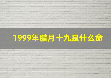 1999年腊月十九是什么命