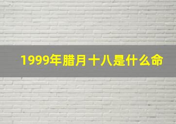 1999年腊月十八是什么命