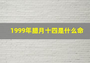 1999年腊月十四是什么命