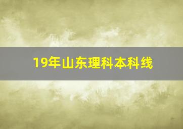 19年山东理科本科线