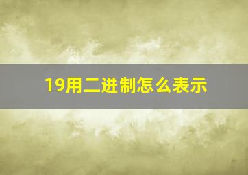 19用二进制怎么表示