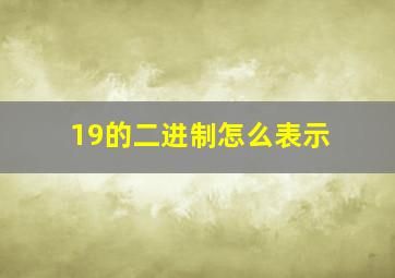 19的二进制怎么表示