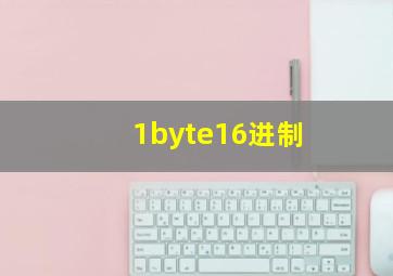 1byte16进制