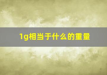 1g相当于什么的重量