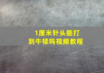 1厘米针头能打到牛犊吗视频教程