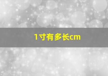 1寸有多长cm