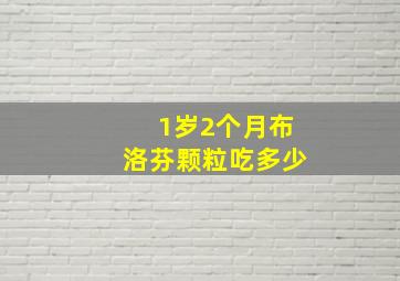 1岁2个月布洛芬颗粒吃多少