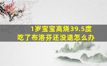 1岁宝宝高烧39.5度吃了布洛芬还没退怎么办