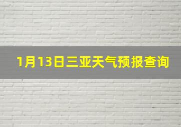 1月13日三亚天气预报查询