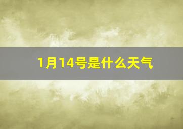 1月14号是什么天气