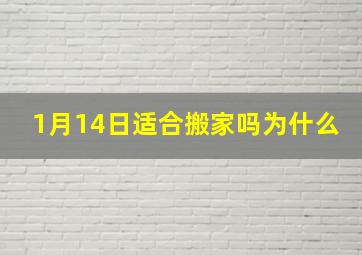 1月14日适合搬家吗为什么