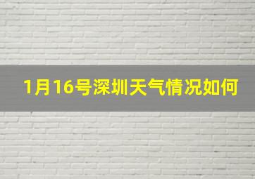 1月16号深圳天气情况如何