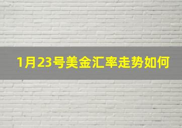 1月23号美金汇率走势如何